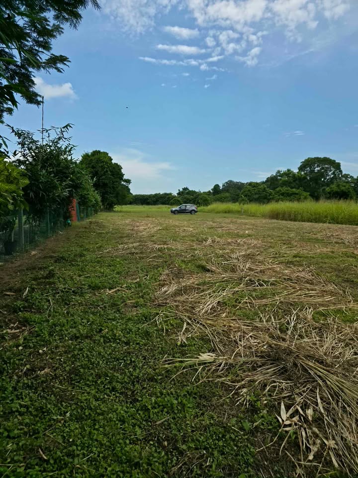 Miniatura 2 de Terreno en venta a la orilla del Río Jamapa