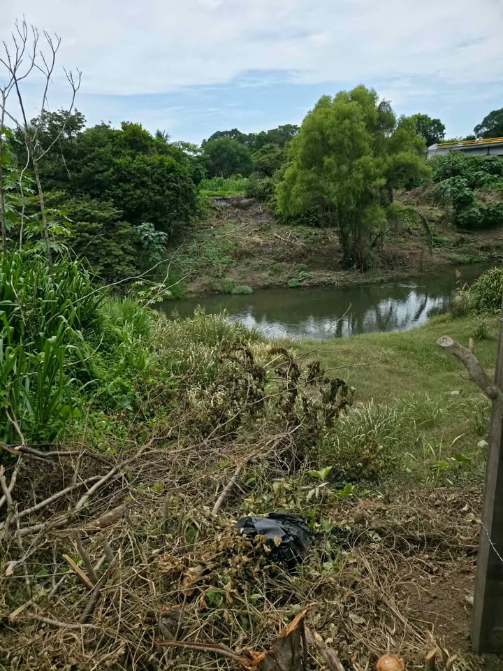 Miniatura 5 de Terreno en venta a la orilla del Río Jamapa